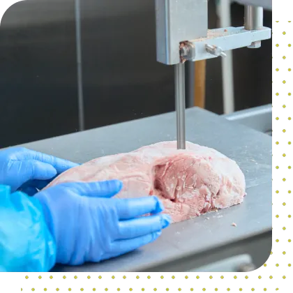 お肉の加工