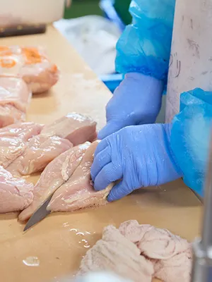 お肉のイメージ画像